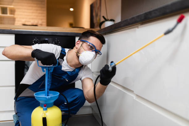 Reliable Norwood, NC Pest Control Solutions