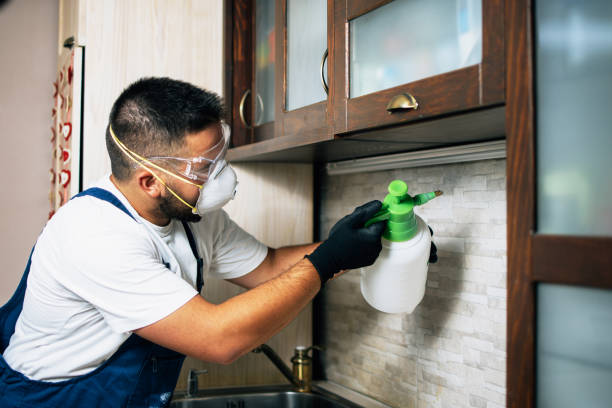 Pest Control Cost in Norwood, NC