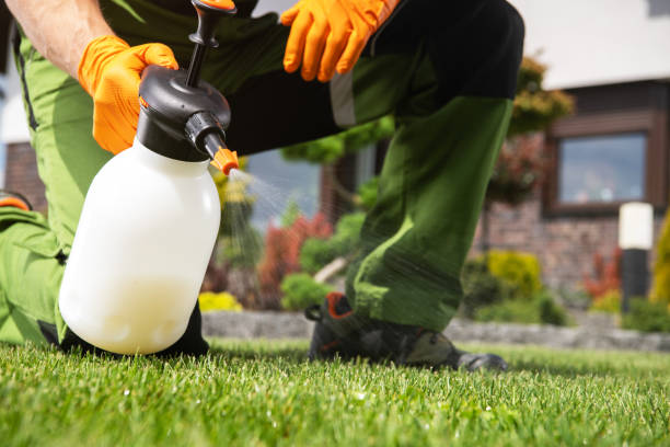 Best Best Pest Control Companies  in Norwood, NC