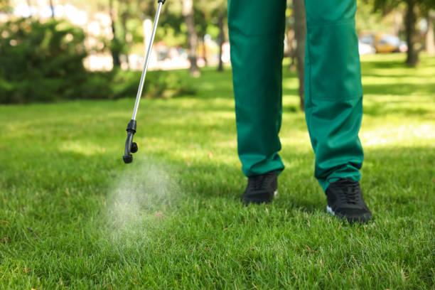 Best Cockroach Control Services  in Norwood, NC