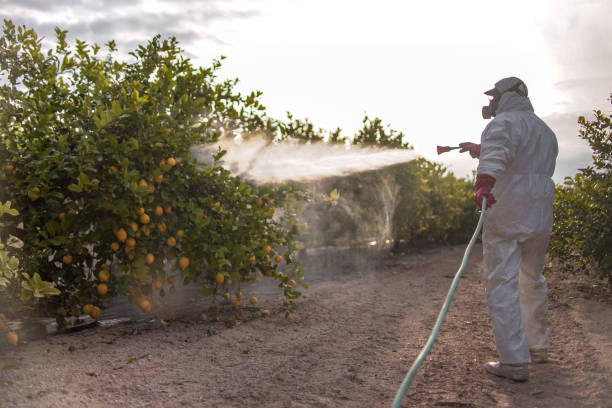 Best Commercial Pest Control Services  in Norwood, NC