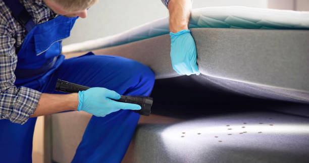 Best Pest Control Near Me  in Norwood, NC