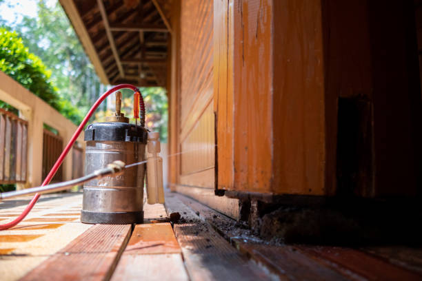 Best Ant Control Services  in Norwood, NC