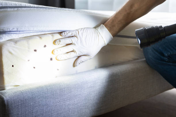 Best Best Pest Control Companies  in Norwood, NC