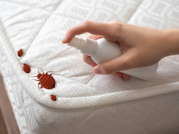 Best Pest Inspection Near Me  in Norwood, NC
