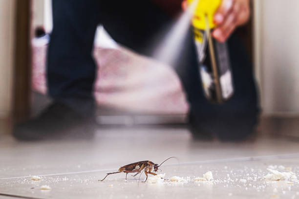 Best Emergency Pest Control  in Norwood, NC