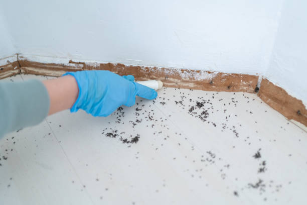 Best Pest Prevention Services  in Norwood, NC