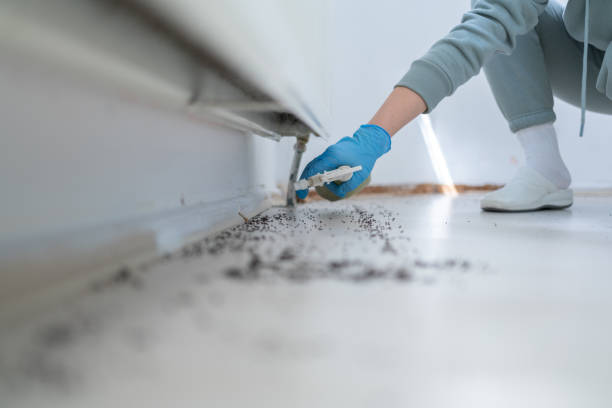 Best Mosquito Control Services  in Norwood, NC